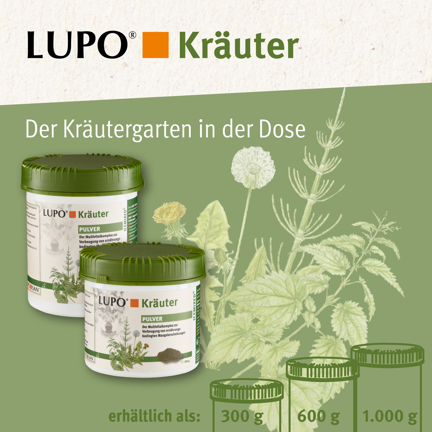 LUPO Kräuter Pulver