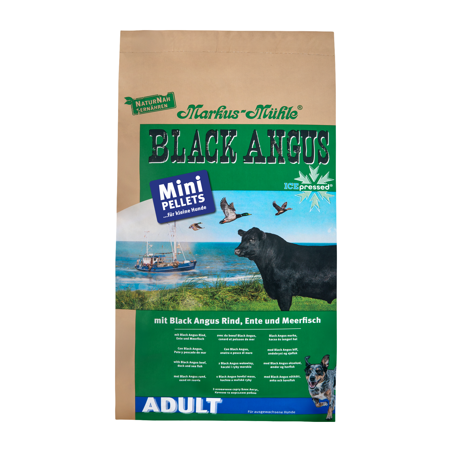 BLACK ANGUS Adult MINI 5 kg