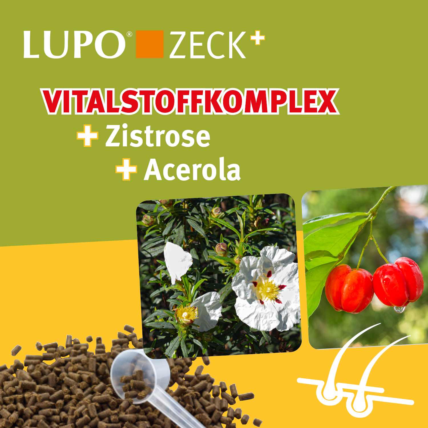LUPO ZECK+ 1100 g LUPO ZECK+ 1100 g