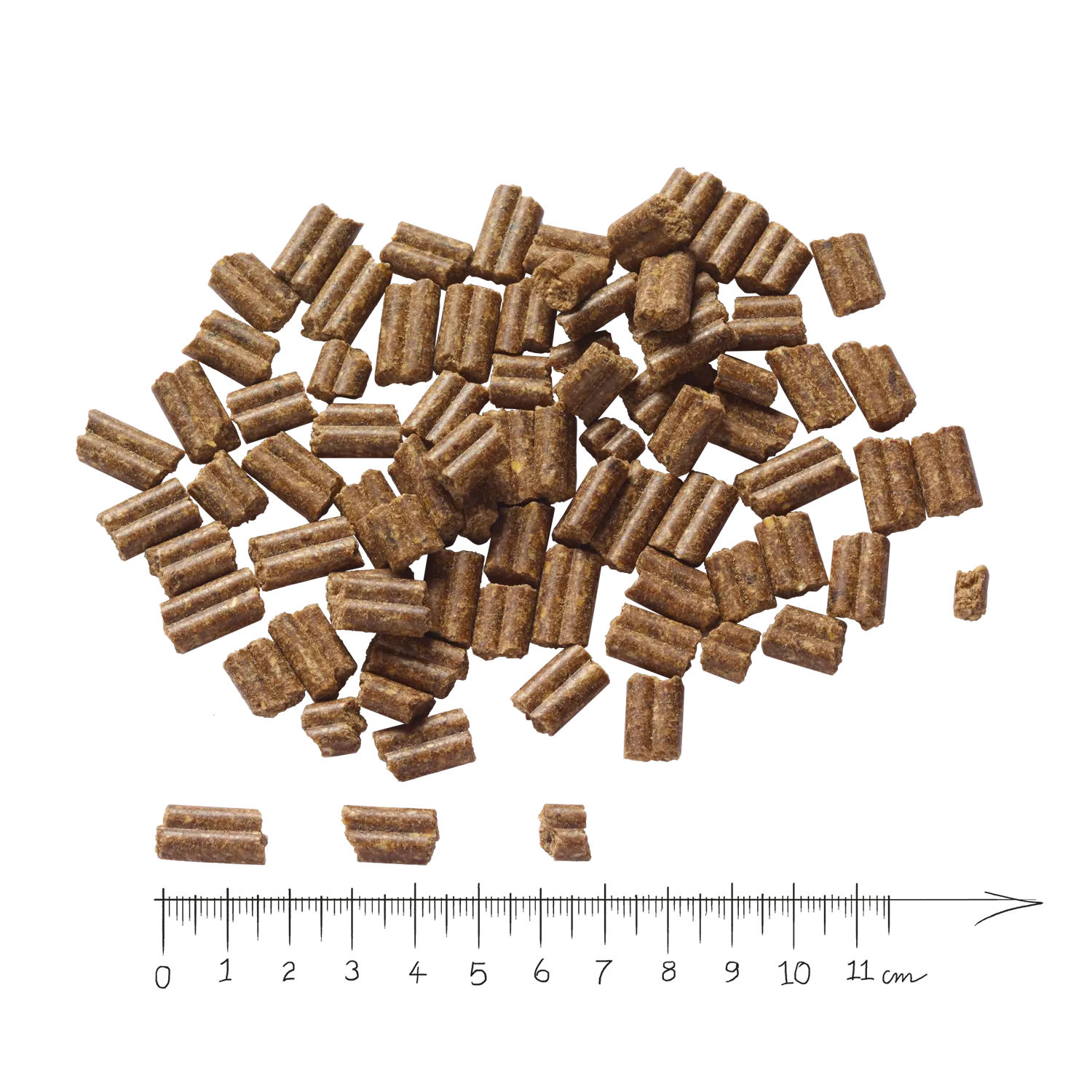 BLACK ANGUS Adult MINI 5 kg