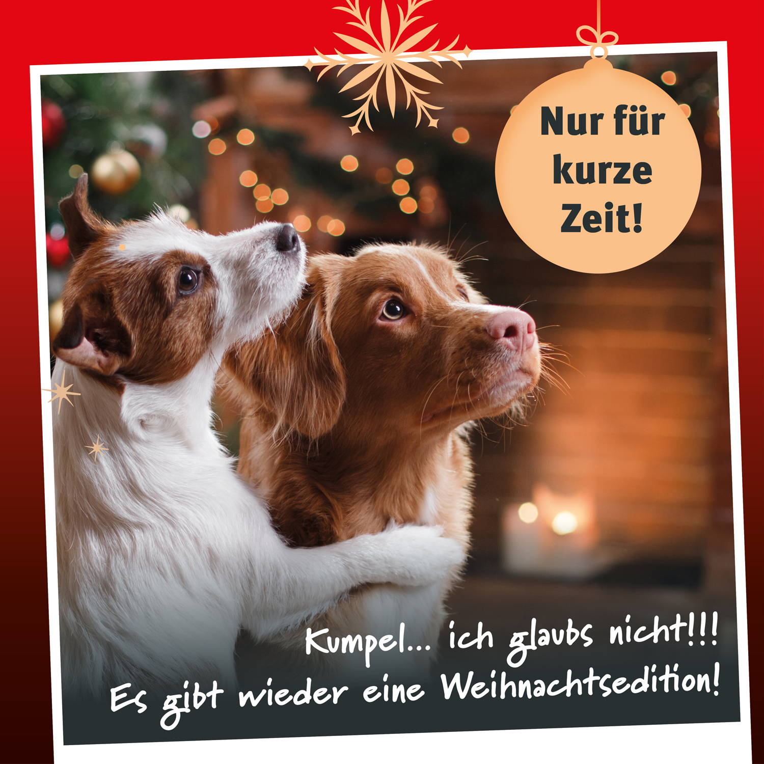 Markus-Mühle WEIHNACHTSENTE 10 kg *limitierte Sonderedition* Markus-Mühle WEIHNACHTSENTE 10 kg *limitierte Sonderedition*