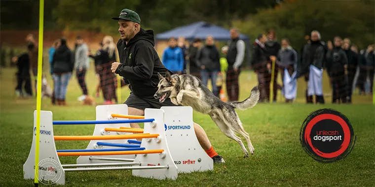 Marcel von unleash_dogsport: Hundetrainer & Hundesportler im THS