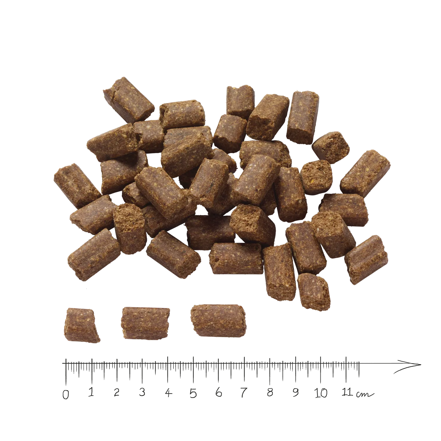 BLACK ANGUS Junior 15 kg + 1 kg GRATIS