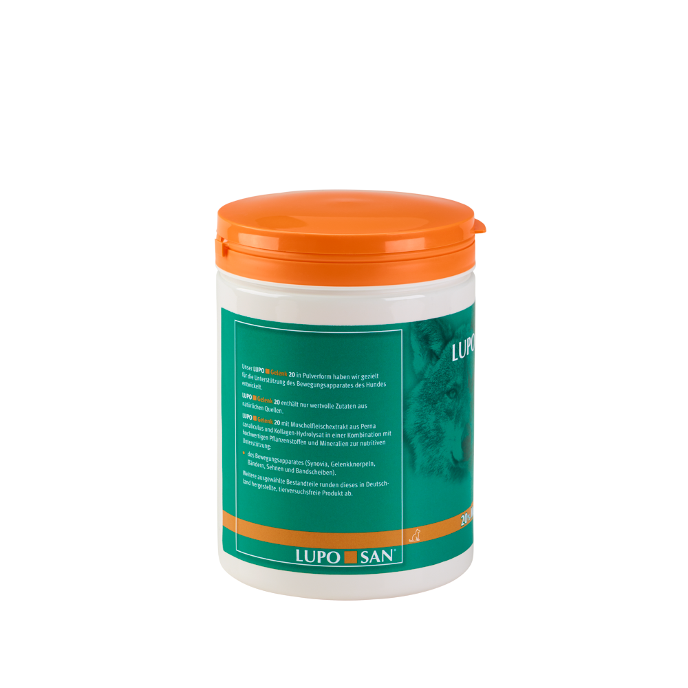 LUPO Gelenk 20 600 g