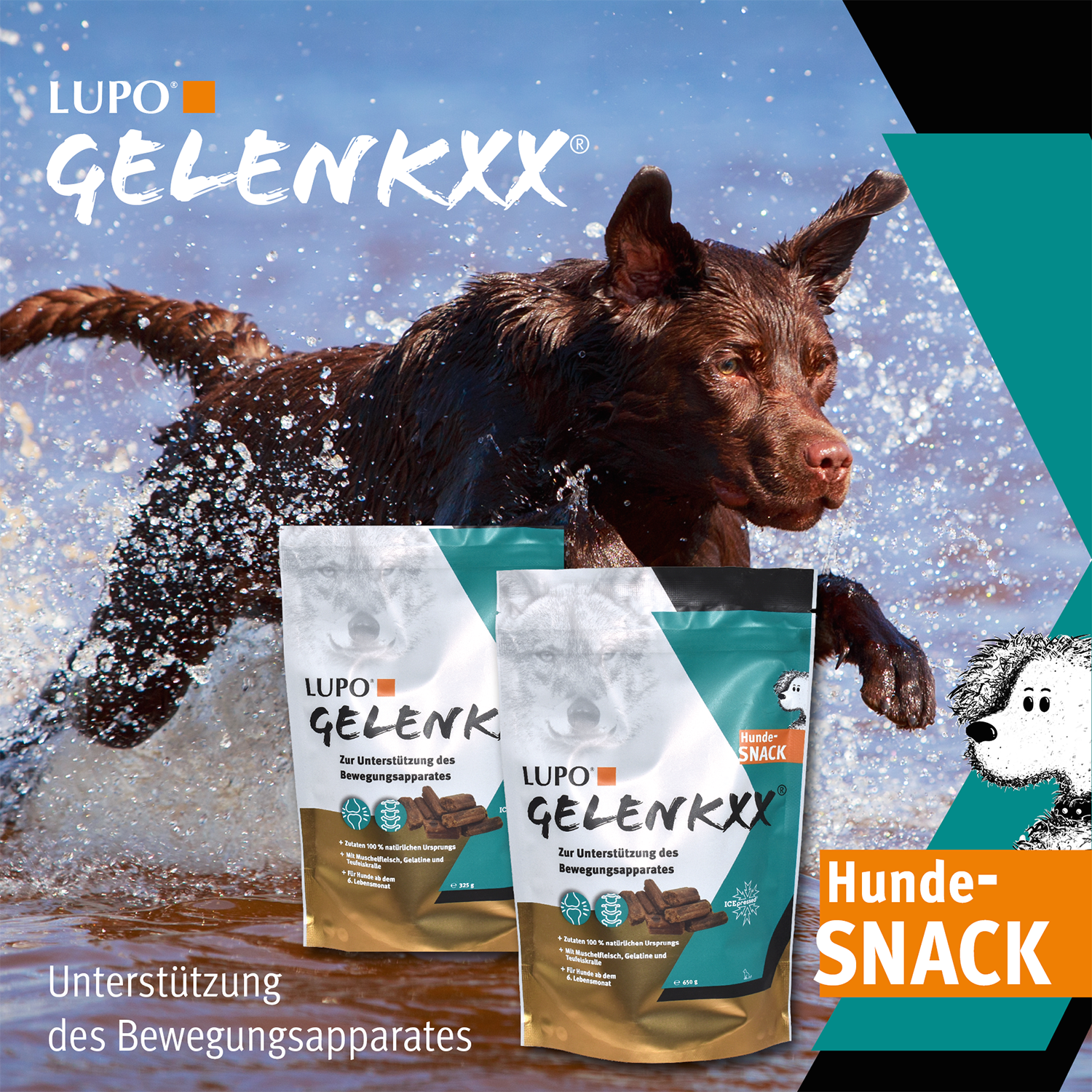 LUPO GELENKXX Snack für Hunde