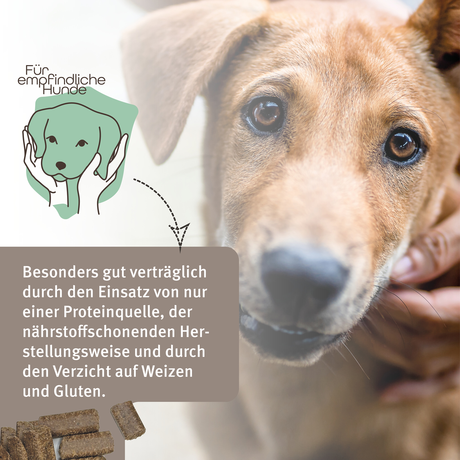 Markus-Mühle Freiland Wild 5 kg