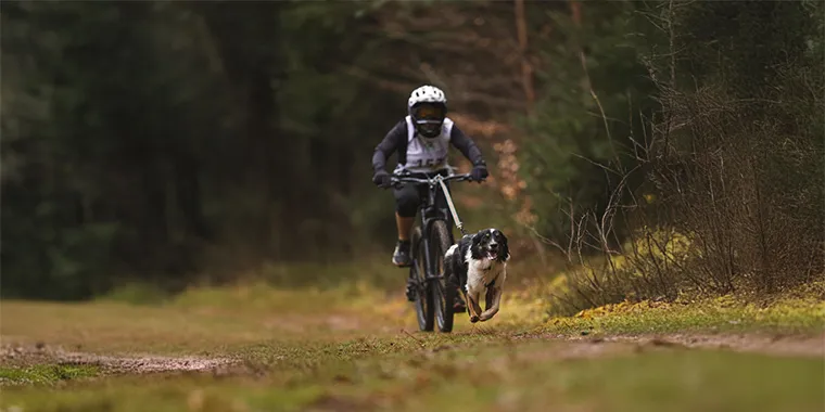 Hundesport, Hundepension & CaniCross: Tina Nicht im Interview