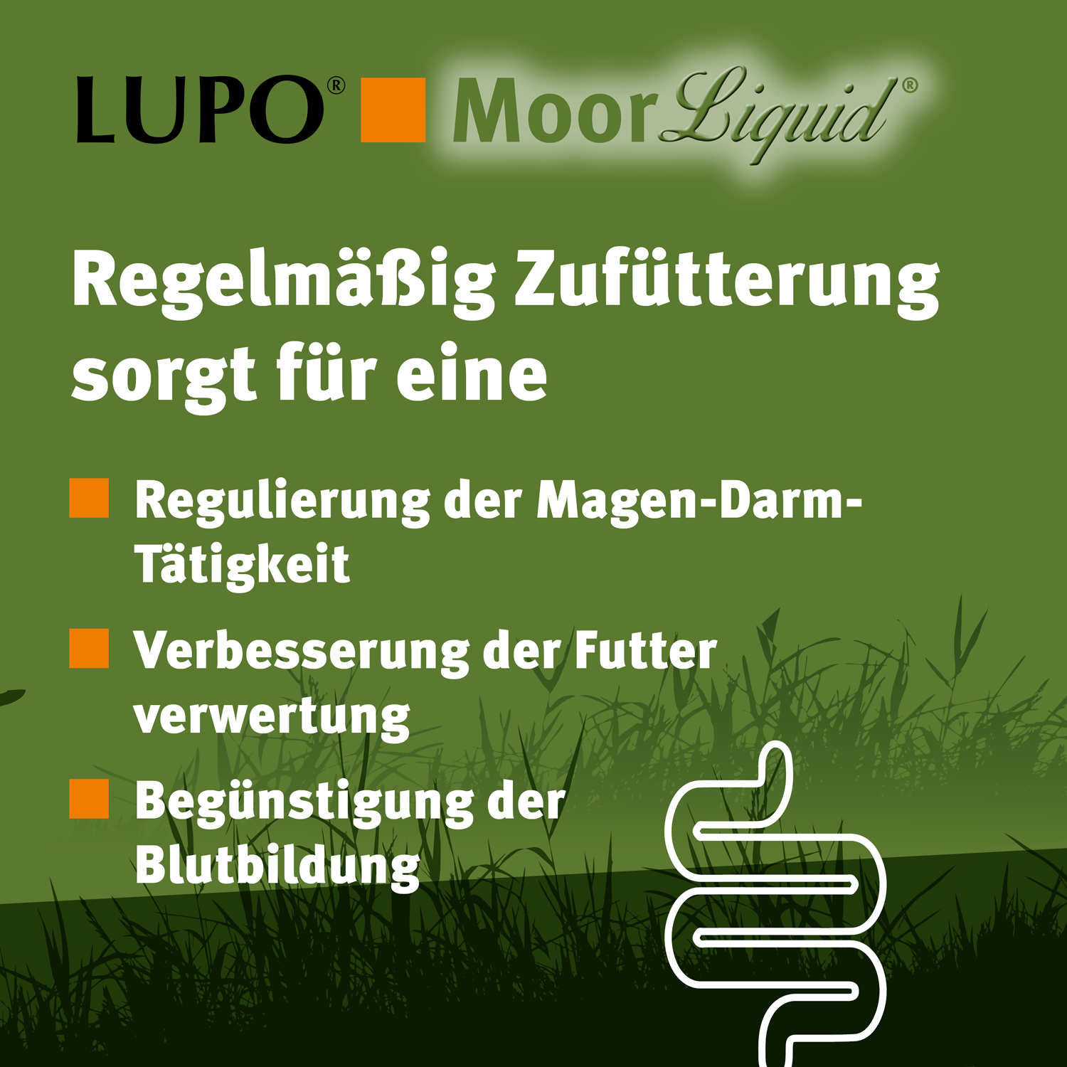 LUPO MoorLiquid 500 g