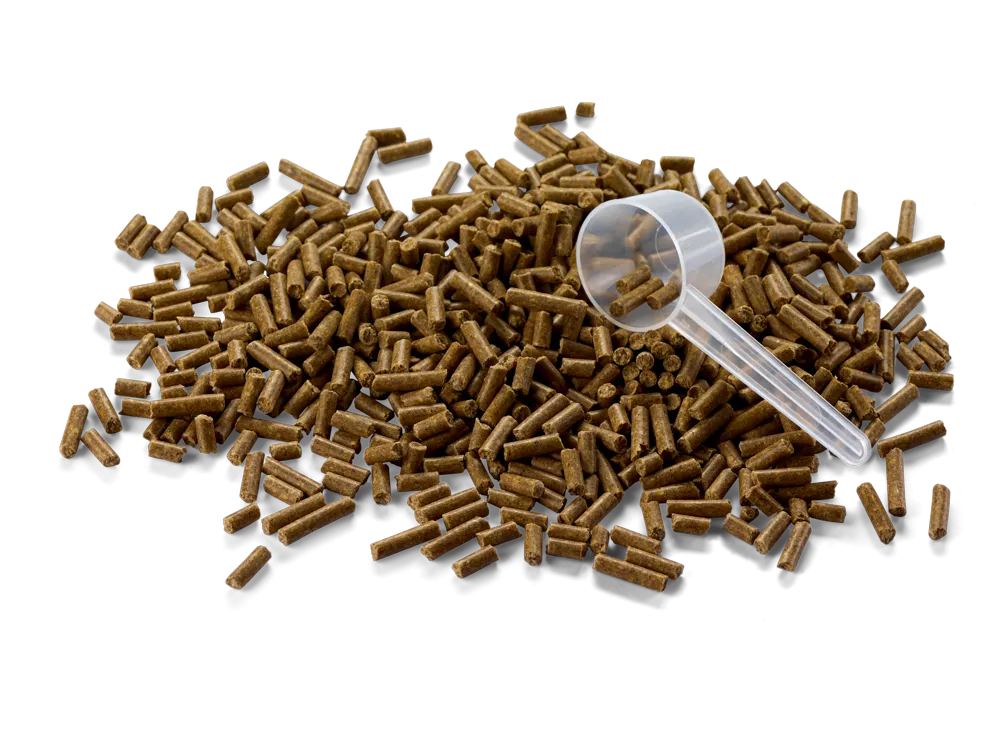 LUPO COX VITAL 675 g